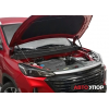 Амортизаторы (упоры) капота на BAIC X35 UBAX35011