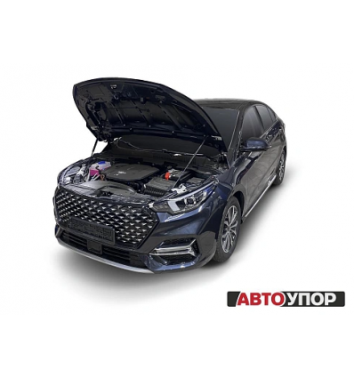 Амортизаторы (упоры) капота на Omoda S5 UOMS5011