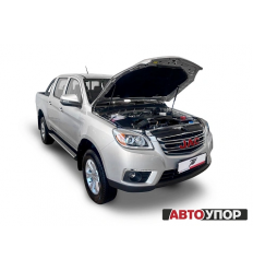 Амортизаторы (упоры) капота на JAC T6 UJAT6011